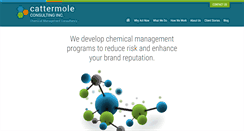 Desktop Screenshot of cattermoleconsulting.com